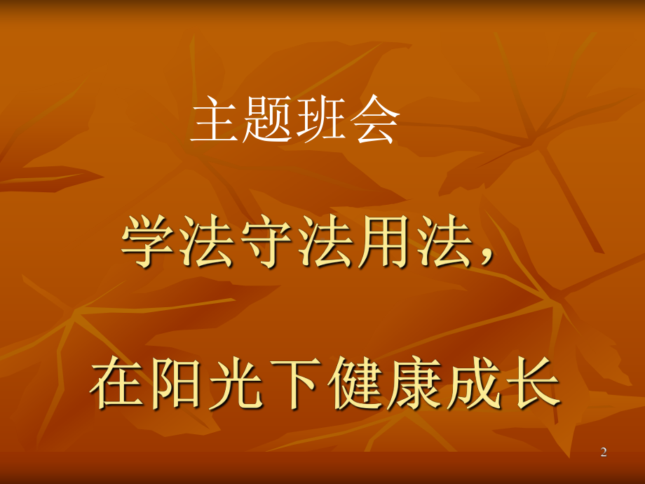 校园法制宣传课件.ppt_第2页