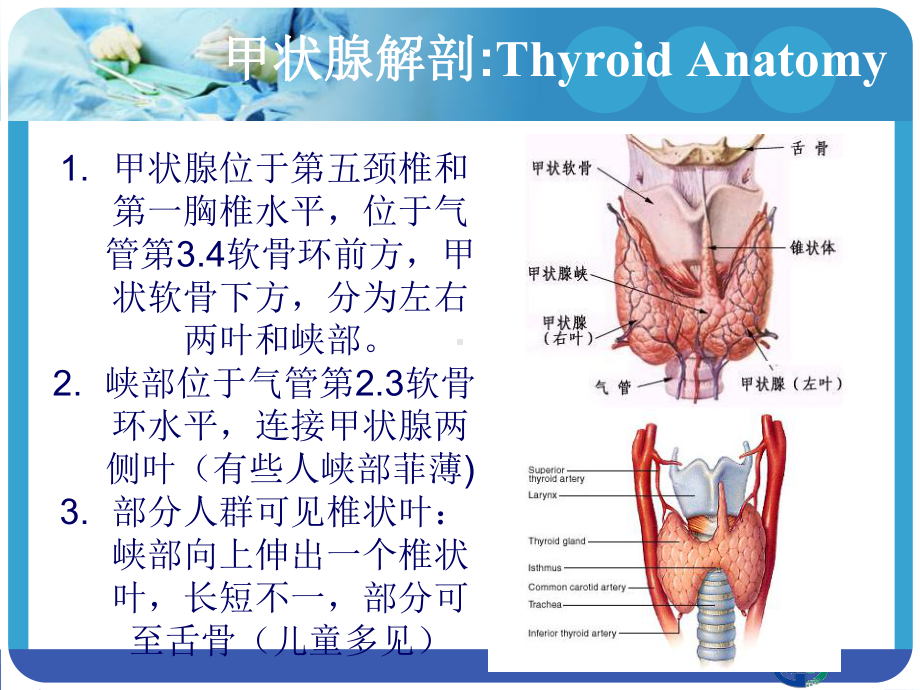 甲状腺超声诊断标准课件.ppt_第2页