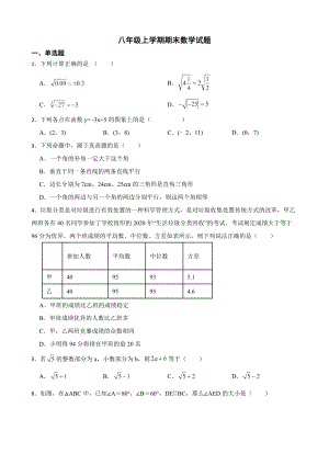 广东省河源市和平县2022年八年级上学期期末数学试题及答案.docx