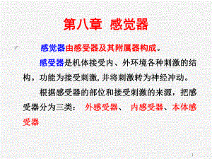 正常人体解剖学感觉器课件.ppt