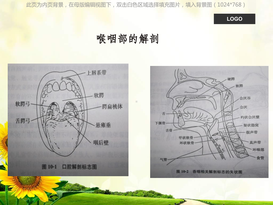 吞咽困难护理查房课件.ppt_第2页