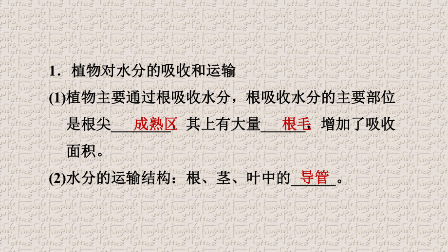 人教版七年级生物上册第三单元第三章第四章第五章第六章习题课件.pptx_第2页