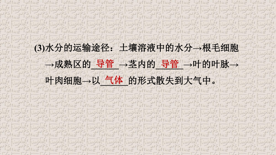 人教版七年级生物上册第三单元第三章第四章第五章第六章习题课件.pptx_第3页