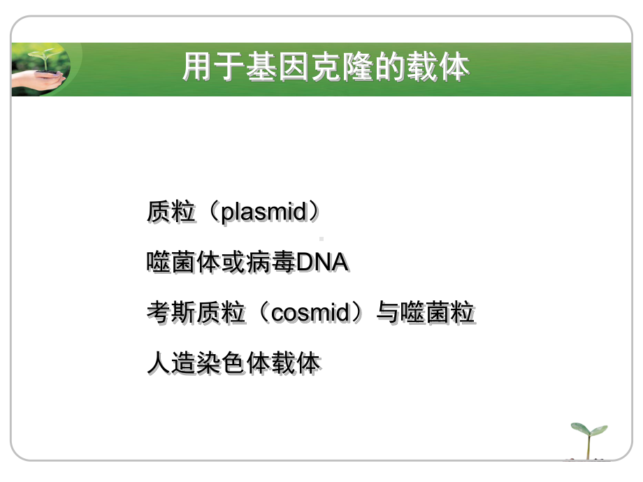 分子生物学-质粒课件.ppt_第3页