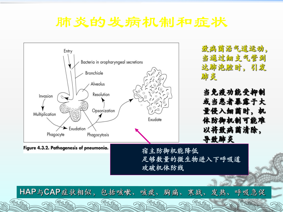 社区获得性肺炎诊治指南孙铁英课件.ppt_第3页