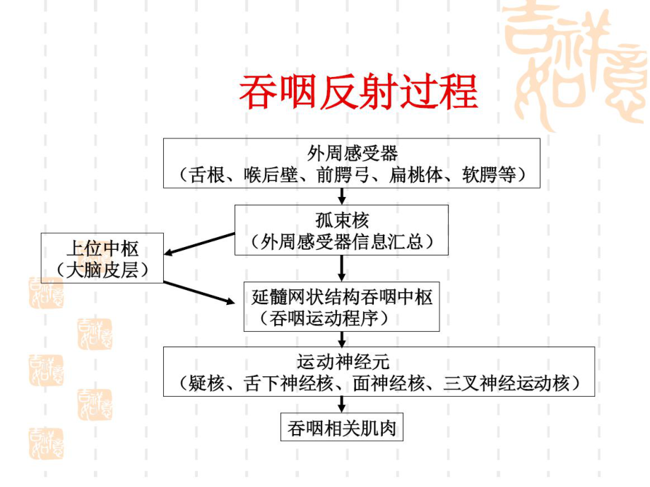 吞咽功能评估课件.ppt_第3页