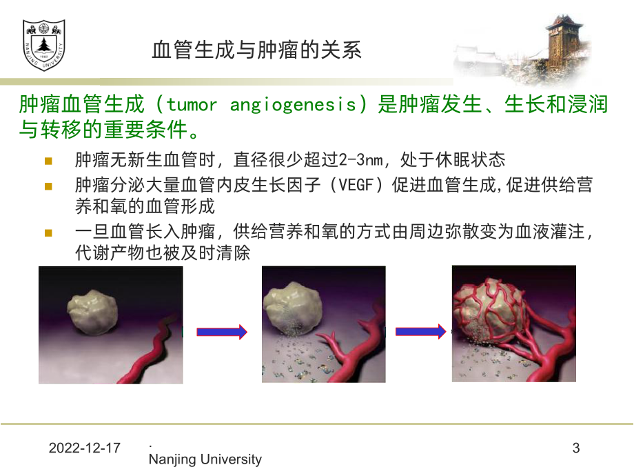 肿瘤抗血管生成治疗耐药机制课件.ppt_第3页