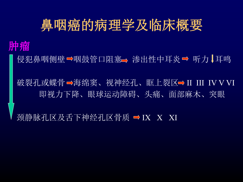 鼻咽癌影像诊断学习课件.ppt_第3页