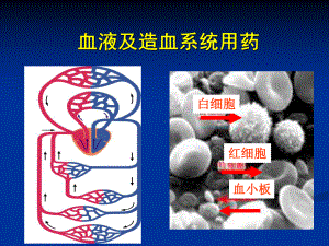 血液系统药物课件.ppt