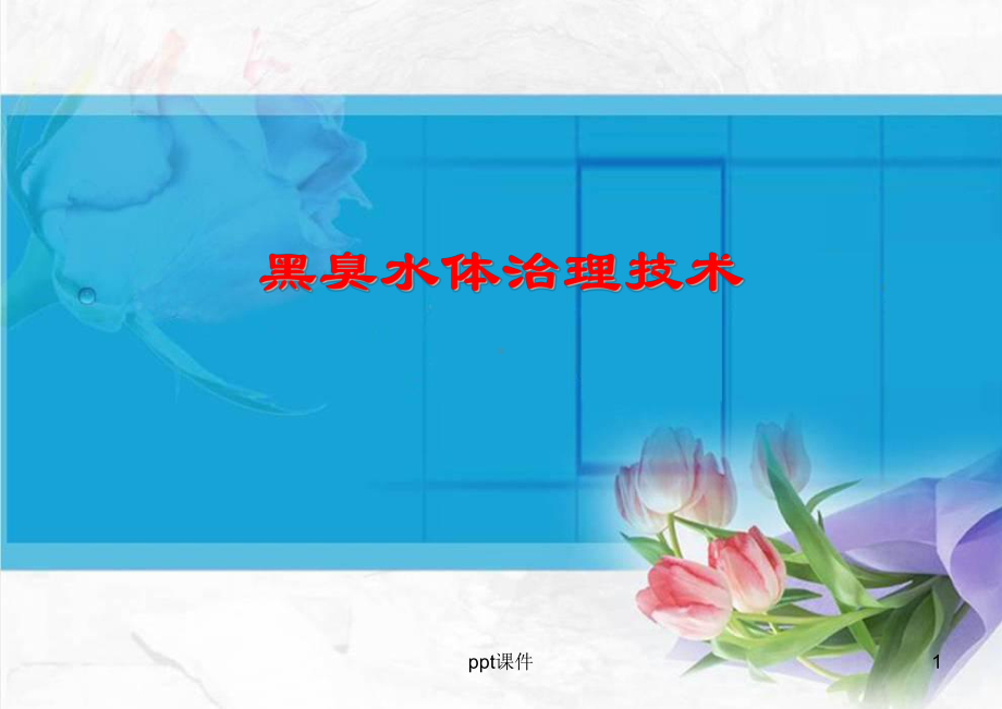 黑臭水体治理技术-课件.ppt_第1页