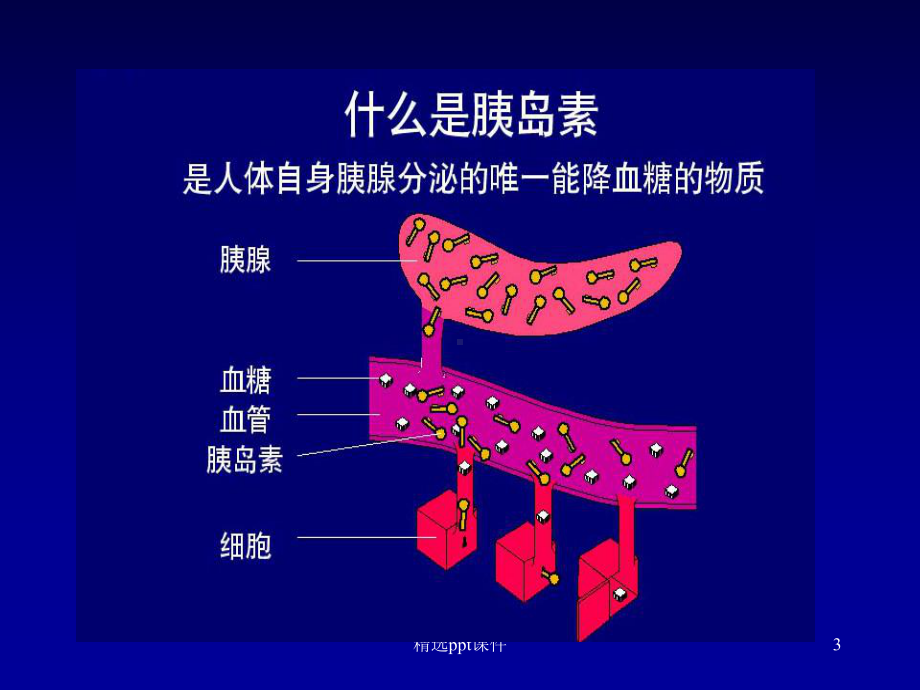 《糖尿病饮食管理》课件.ppt_第3页