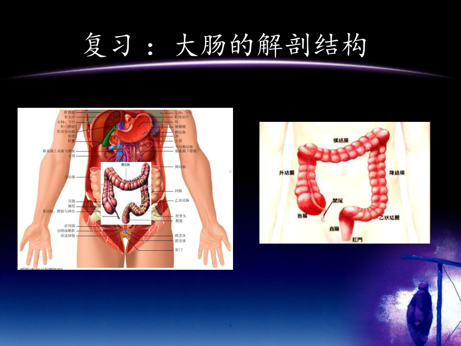 老年便秘的评估与干预课件.ppt_第2页