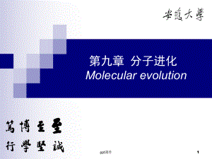 分子进化-课件.ppt