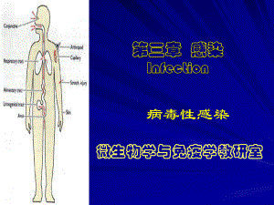 感染病毒性感染课件.pptx