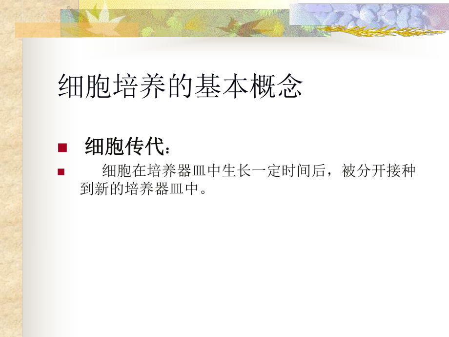 三悬浮细胞与贴壁细胞的培养与观察课件.ppt_第2页