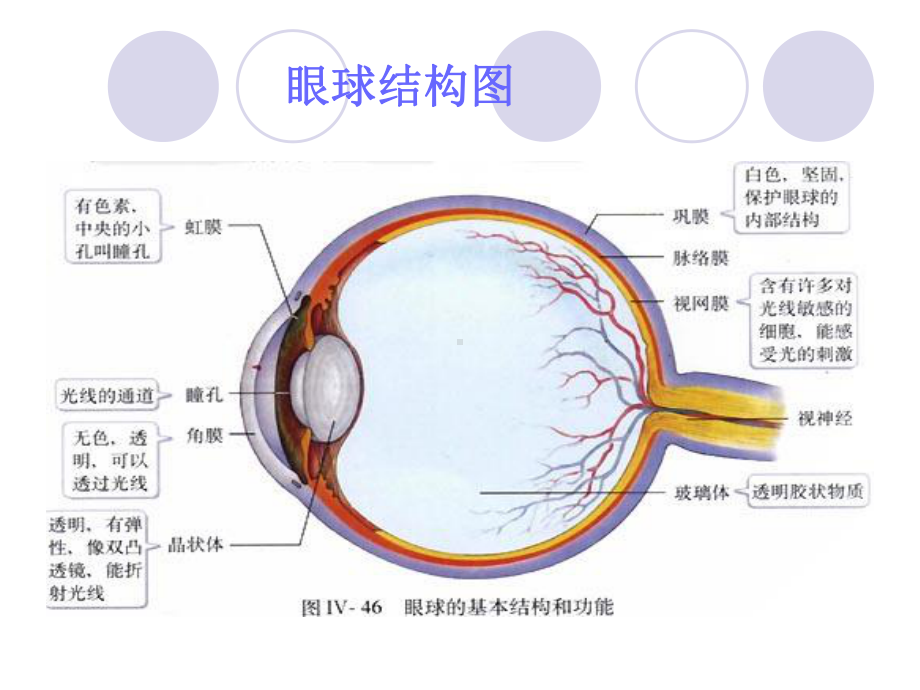 三级甲等医院青光眼护理查房课件.pptx_第3页