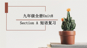 Unit8 Section A 短语复习 课件2022-2023学年人教版英语九年级全册.pptx