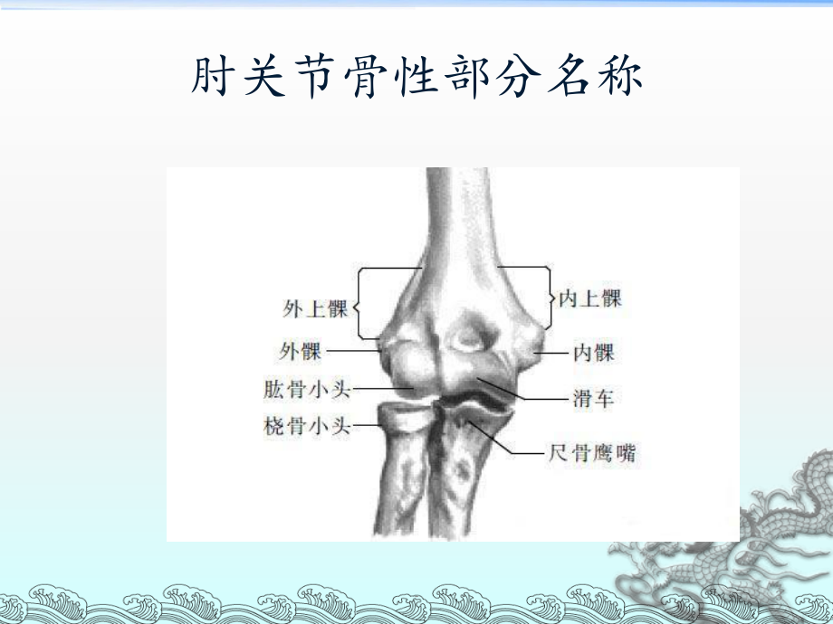 肘关节的解剖课件.ppt_第3页