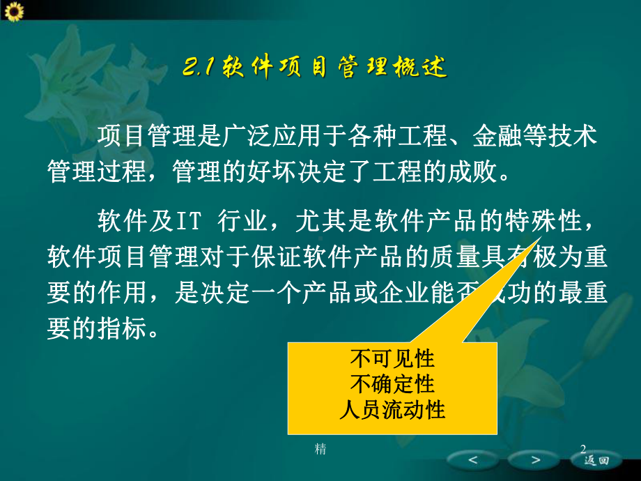 软件项目管理精选课件.ppt_第2页