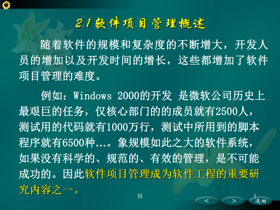 软件项目管理精选课件.ppt_第3页