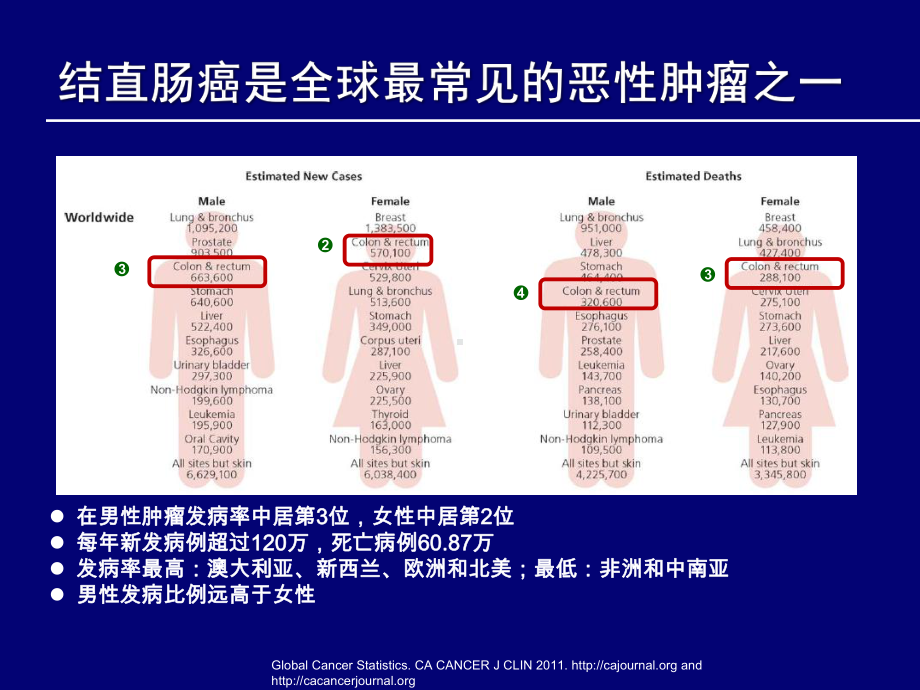 雷替曲塞在mCRC治疗中的价值课件.pptx_第3页