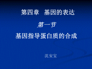 高三生物复习必修二第四章第一节《基因指导蛋白质的合成》课件.ppt