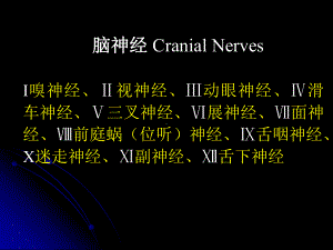 脑神经、植物神经教学课件.ppt