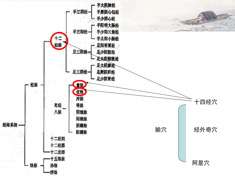 经络的功能与应用课件.ppt_第3页