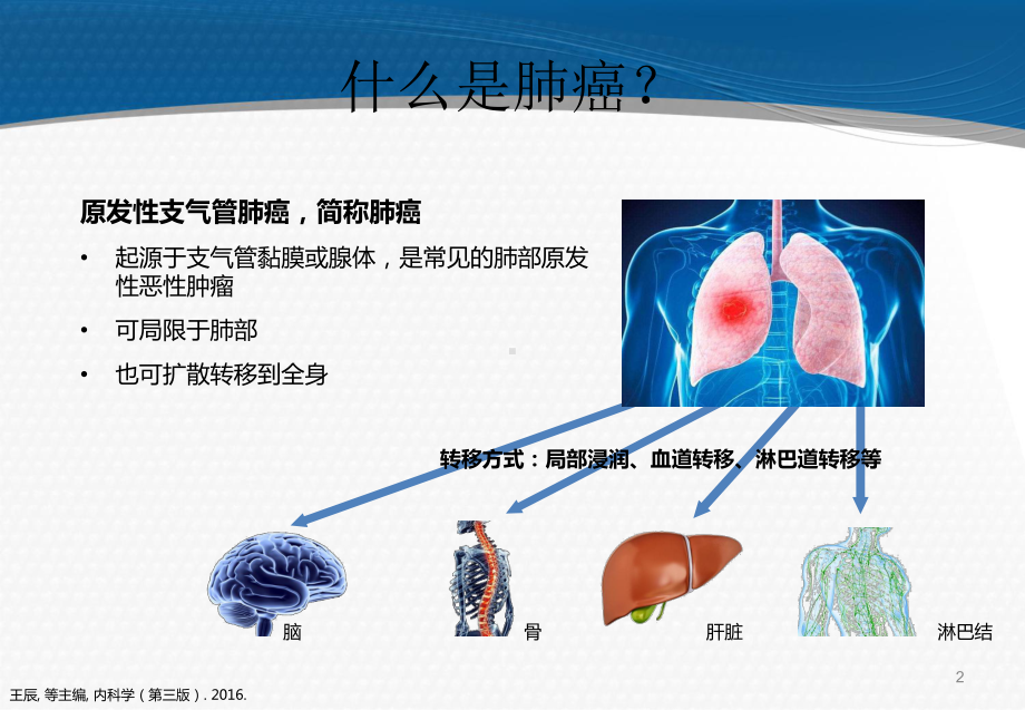 肺癌基础知识课件(同名60).ppt_第2页