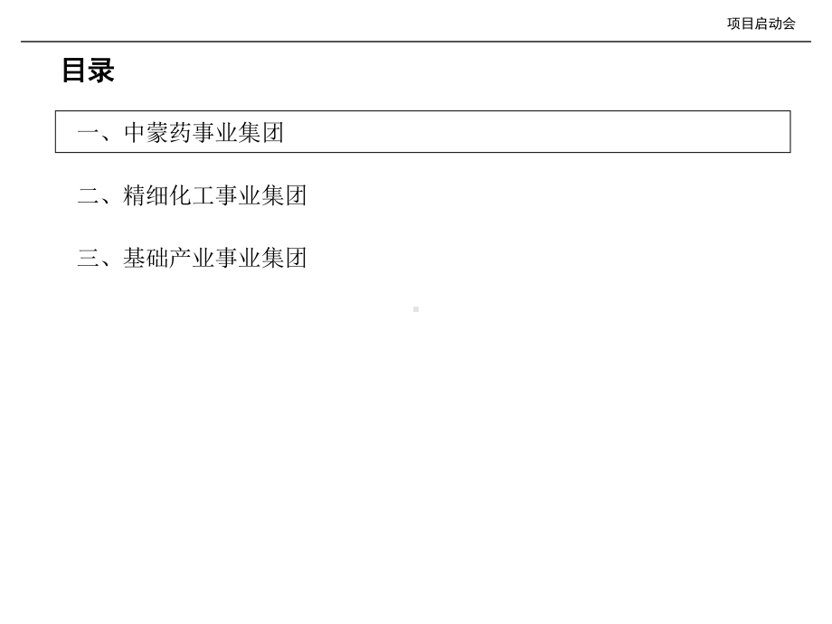 XX资源集团产业整合初步方案.ppt_第2页