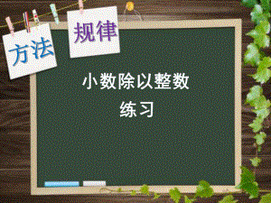 新苏教版五年级数学上册《小数乘法和除法5小数除以整数练习》优质课件实用.ppt