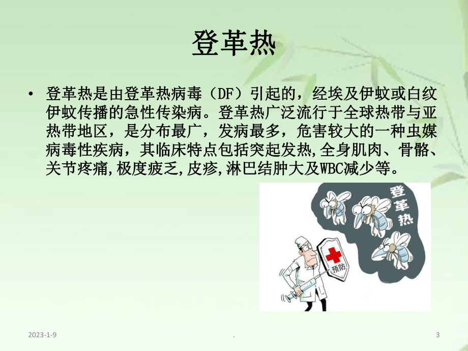 登革热的疾病护理与预防-—李浩课件.ppt_第3页