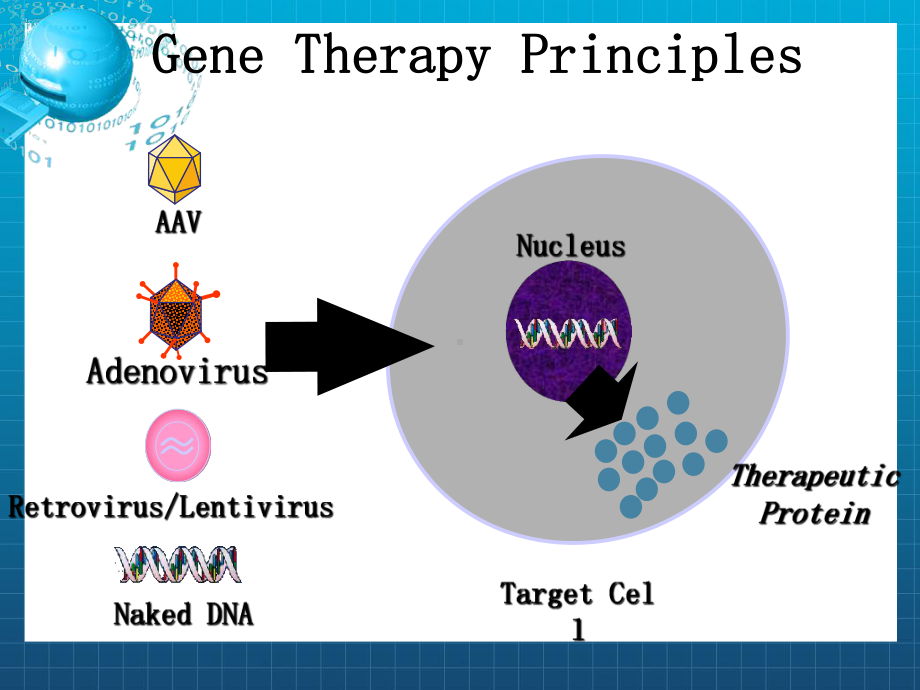 《基因治疗》课件.ppt_第3页