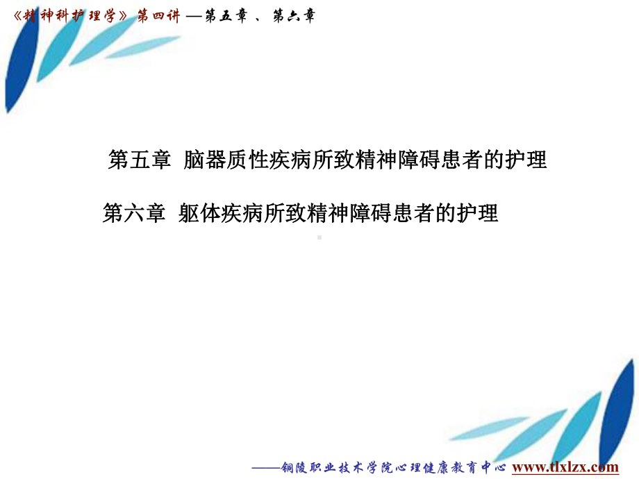 陈树《精神科护理学》第四讲课件.ppt_第2页