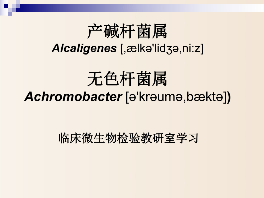 （临床微生物实验）产碱杆菌属和莫拉菌属课件.ppt_第1页