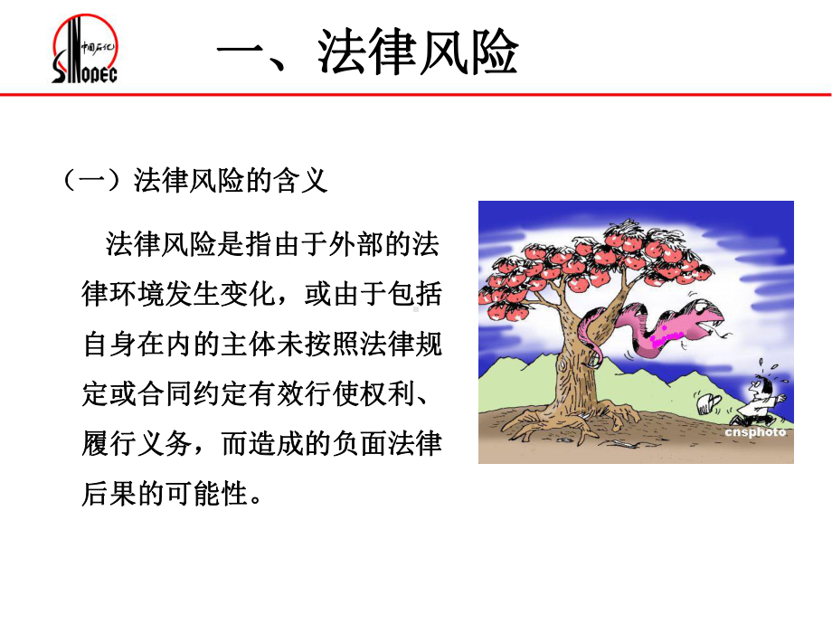 财务管理法律风险防范课件.ppt_第2页