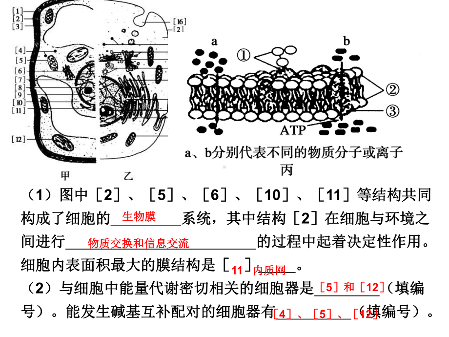 高三期末复习课件.pptx_第2页