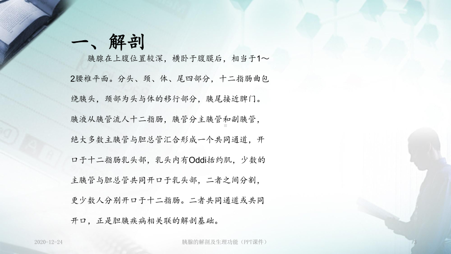 胰腺的解剖及生理功能(课件).ppt_第3页