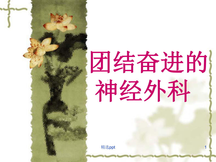 神经外科发展规划课件.ppt_第1页