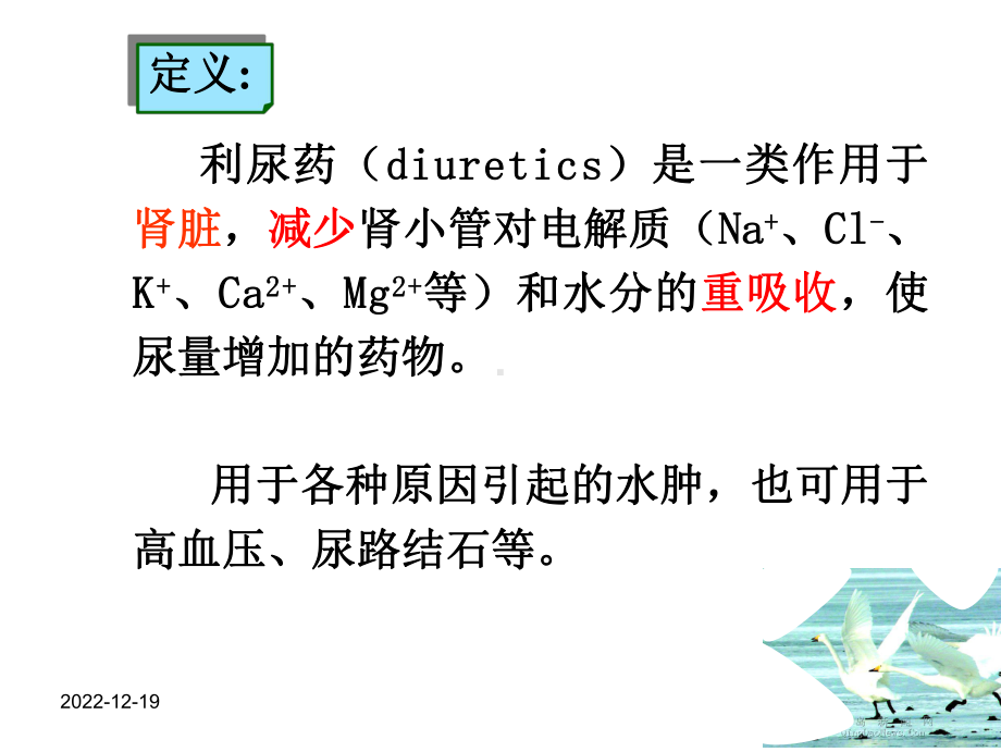 药理学利尿药课件.ppt_第3页