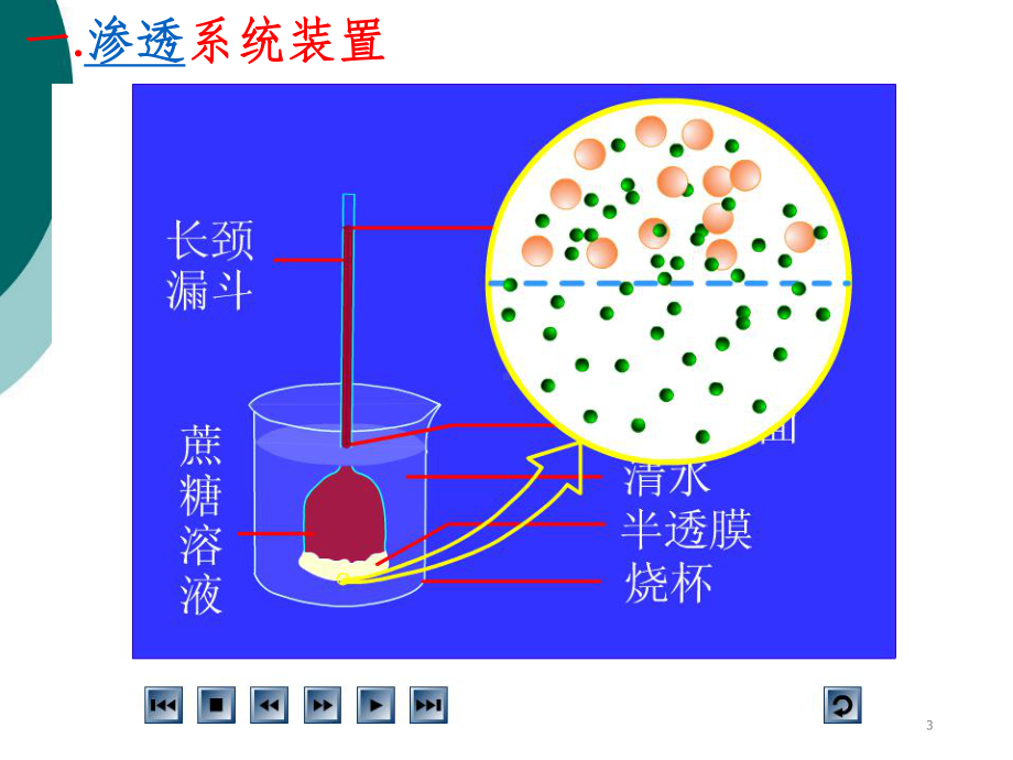 植物细胞吸水与失水课件.ppt_第3页