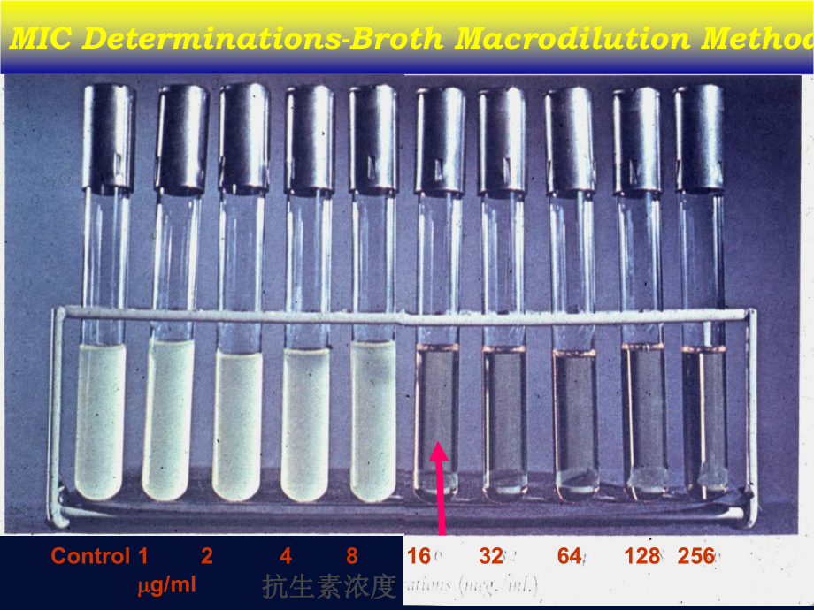 MIC与抗菌药物治疗课件.pptx_第3页