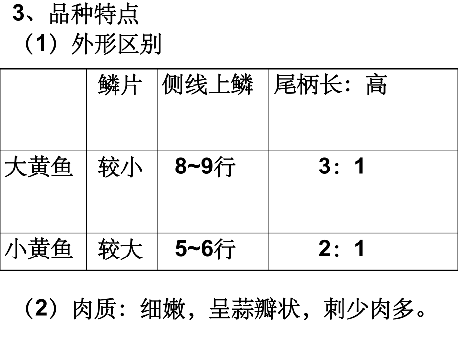 《常见鱼类》课件.ppt_第3页