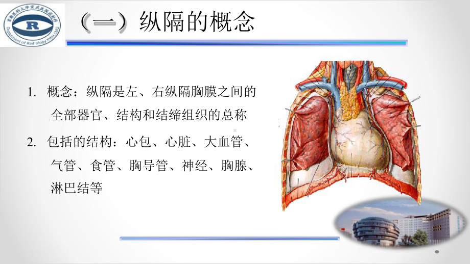 纵隔肿瘤影像诊断课件.pptx_第3页