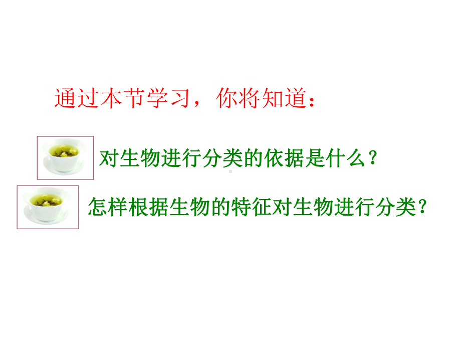 人教版八年级生物上册第六单元教学课件.ppt_第2页