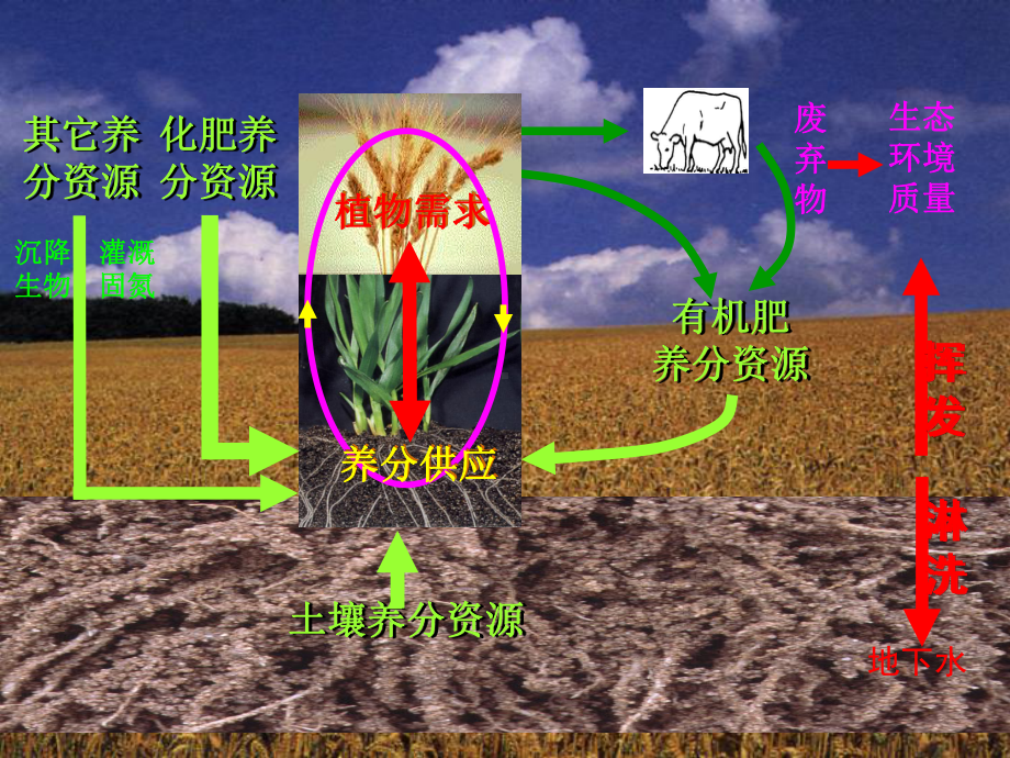 土壤学课件(第五章).ppt_第2页