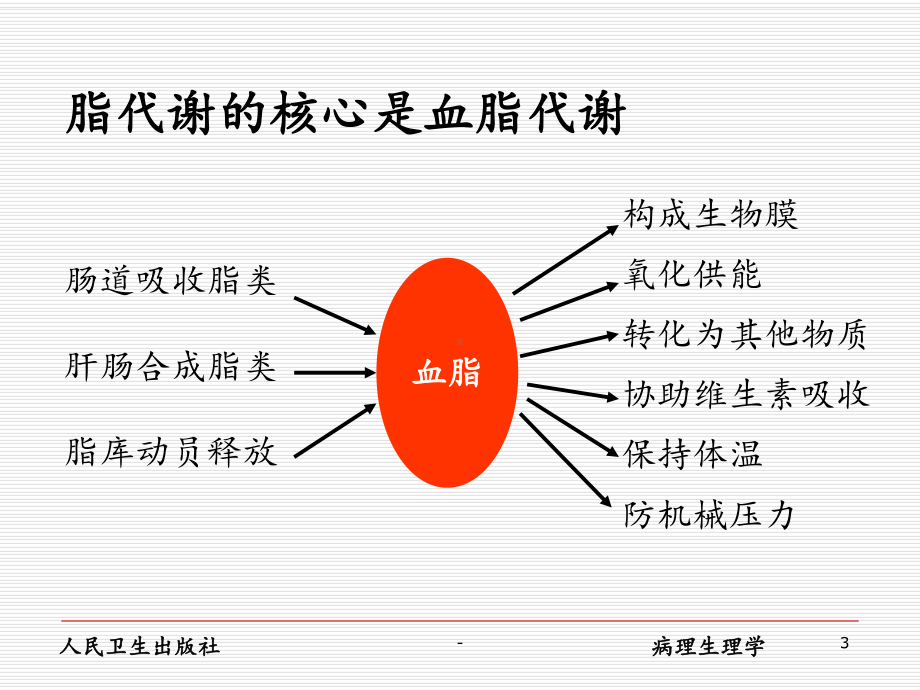 脂代谢紊乱课件.ppt_第3页