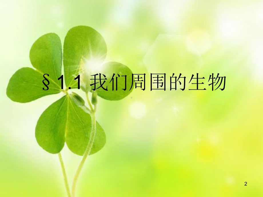 我们周围的生物-苏教版初中课件.ppt_第2页