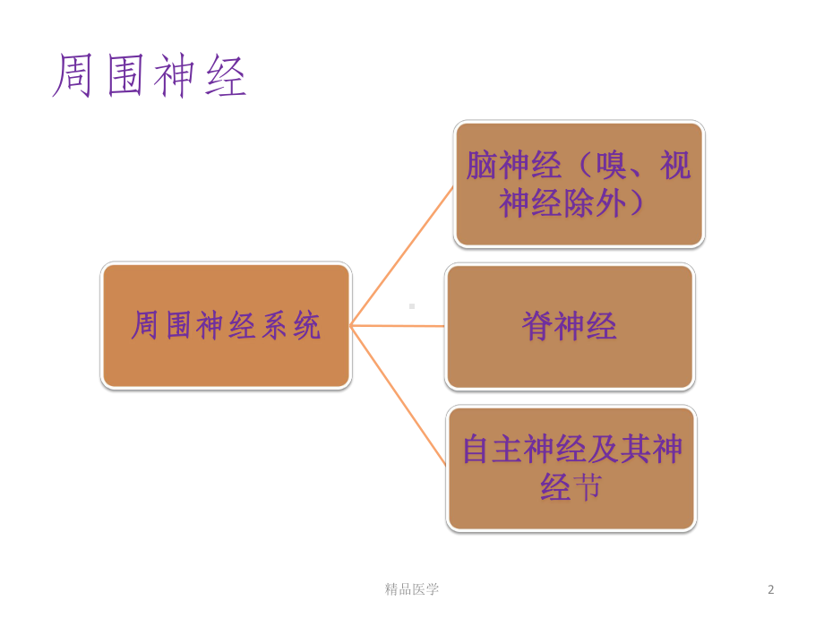 《急性缺血性卒中》课件.pptx_第2页