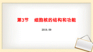 细胞核的结构和功能新教材人教版必修课件.pptx